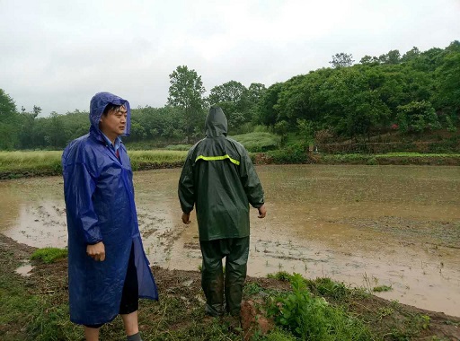 mmexport1493943224164 - ����.jpg