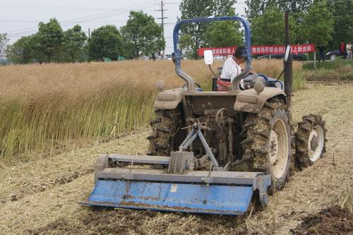 ������С DSC05035.JPG